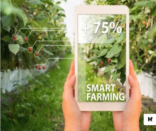 How Sustainability is Shaping the Future of Saudi Agriculture