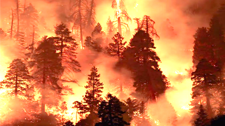 Wildfires Force Emergency Declaration in Los Angeles Suburbs