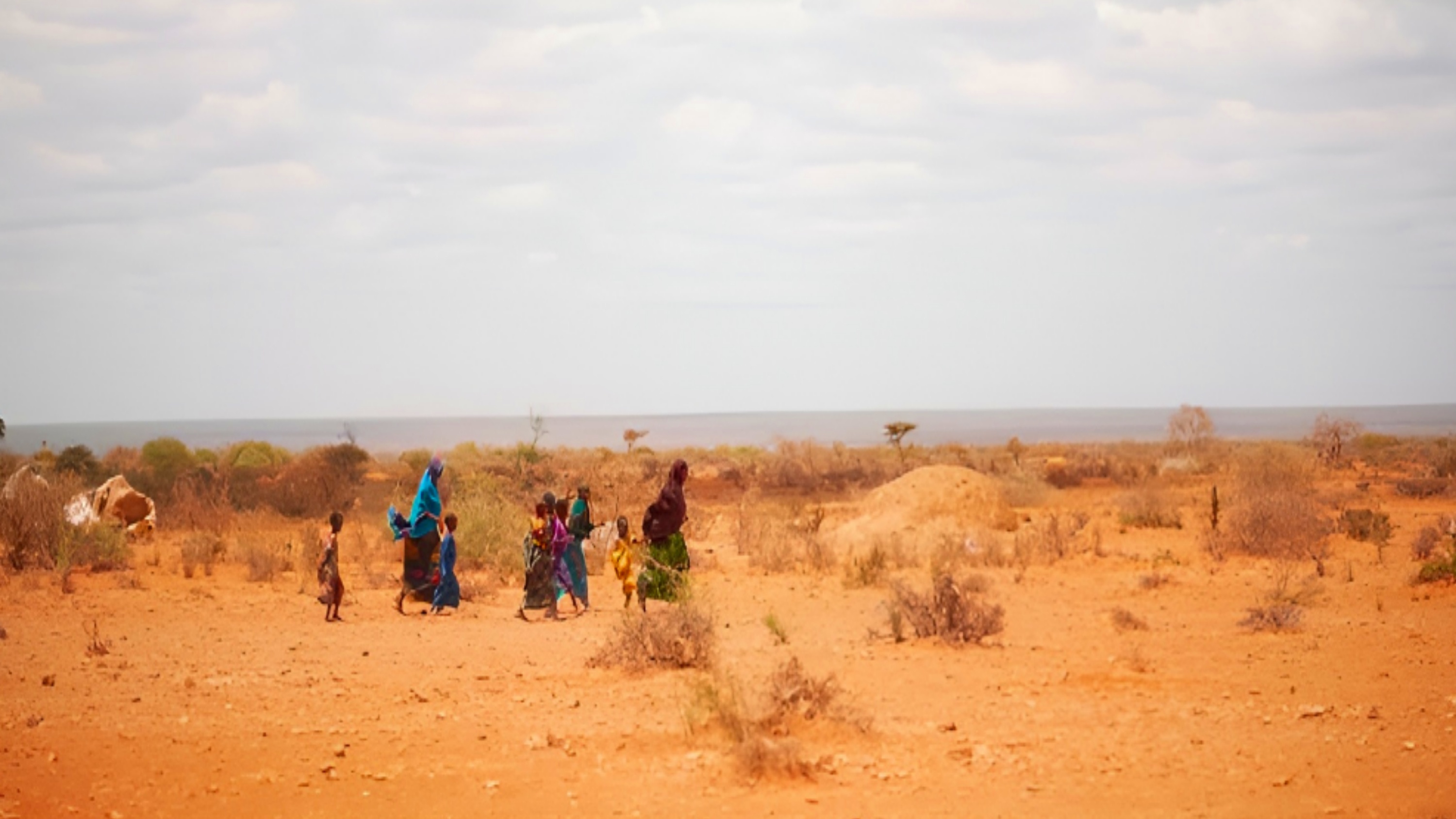 Severe Drought Claims 71,000 Lives in Somalia, Study Finds