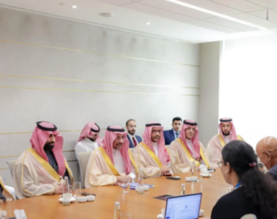 Saudi Arabia, India Explore Partnership Opportunities with TATA Group