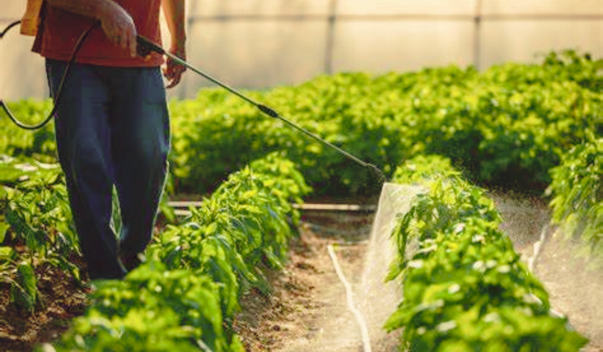 Telangana Pesticide Rules: What Changes Are Coming?