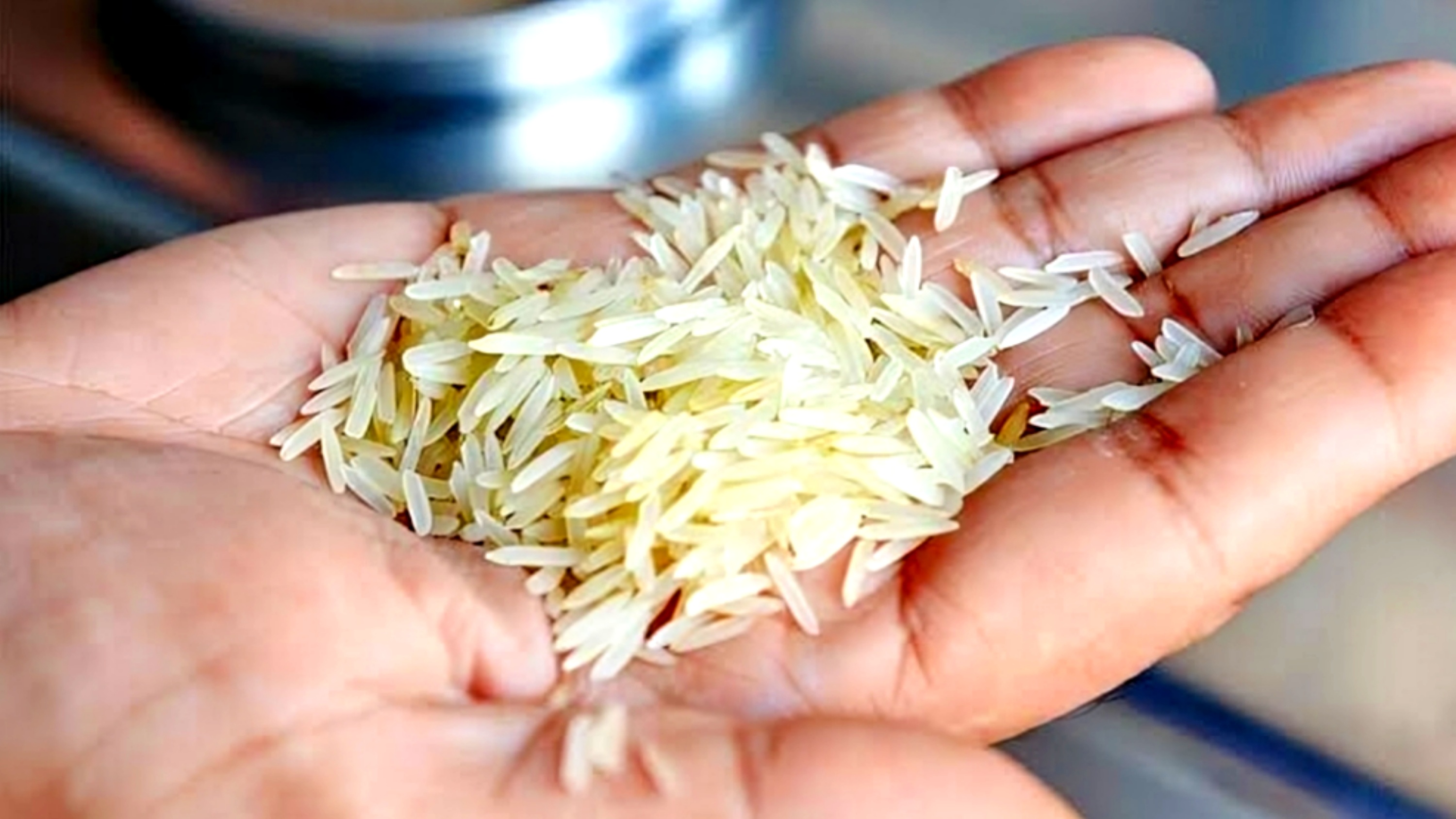 Pakistan Halts Methyl Bromide Fumigation on Rice Consignments
