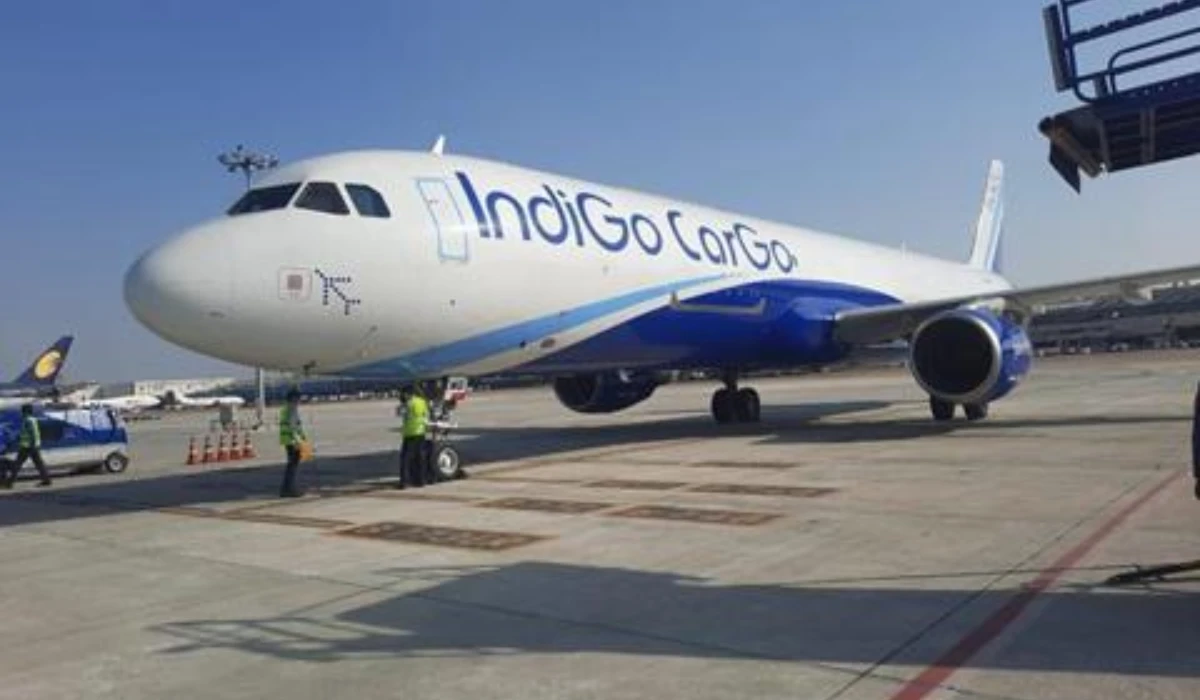 IndiGo Accused: Crew Member Stole Gold Chain From Kid.