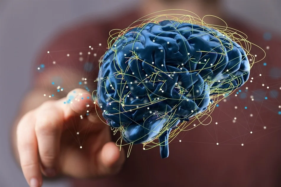 Heart-Healthy Habits May Delay Brain Aging, UMD Study Finds