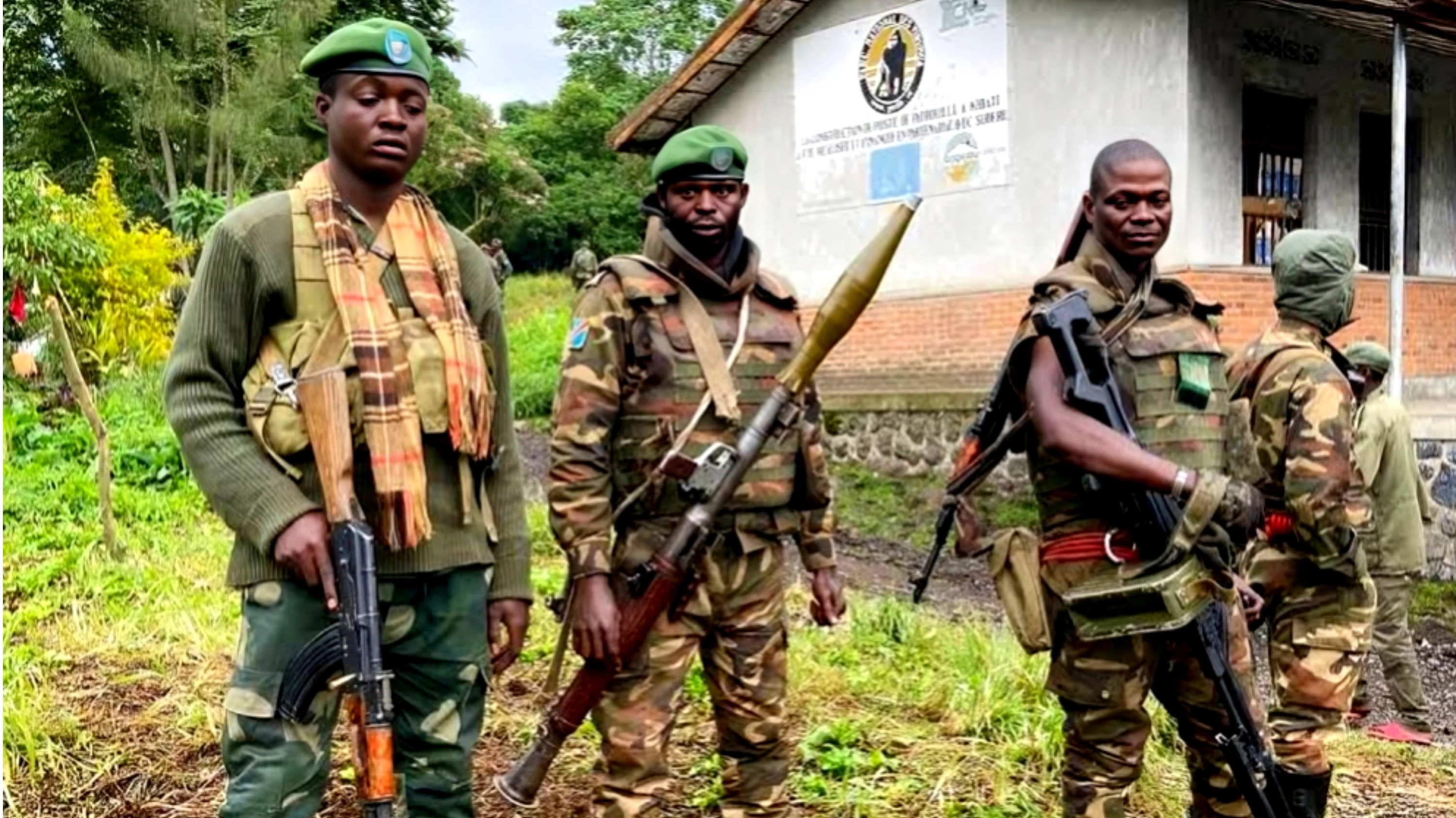 M23 Rebels Accused of War Crimes in Eastern DRC: Amnesty International