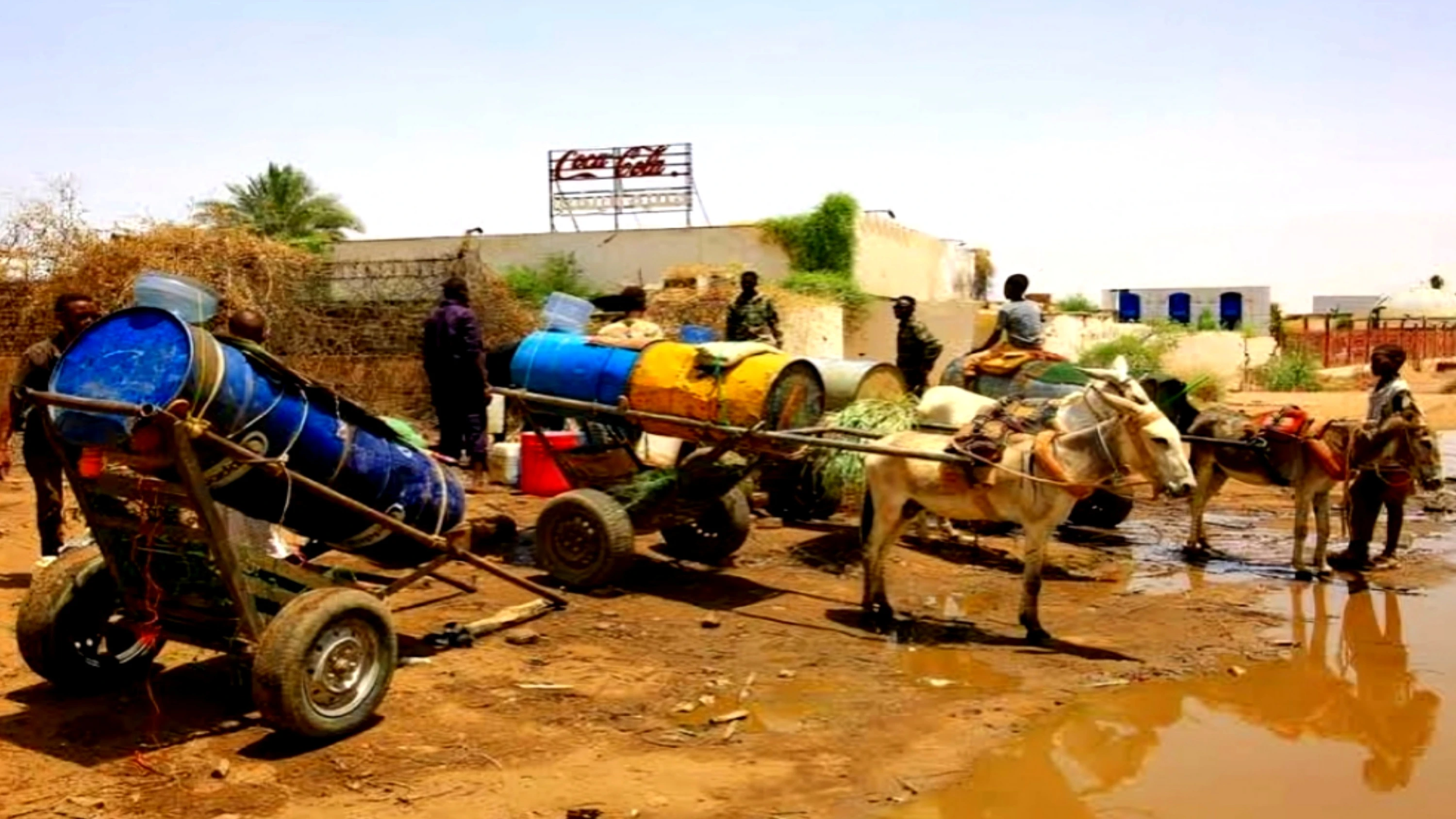 Cholera Cases Surge in War-Ravaged Sudan, Health Ministry Warns