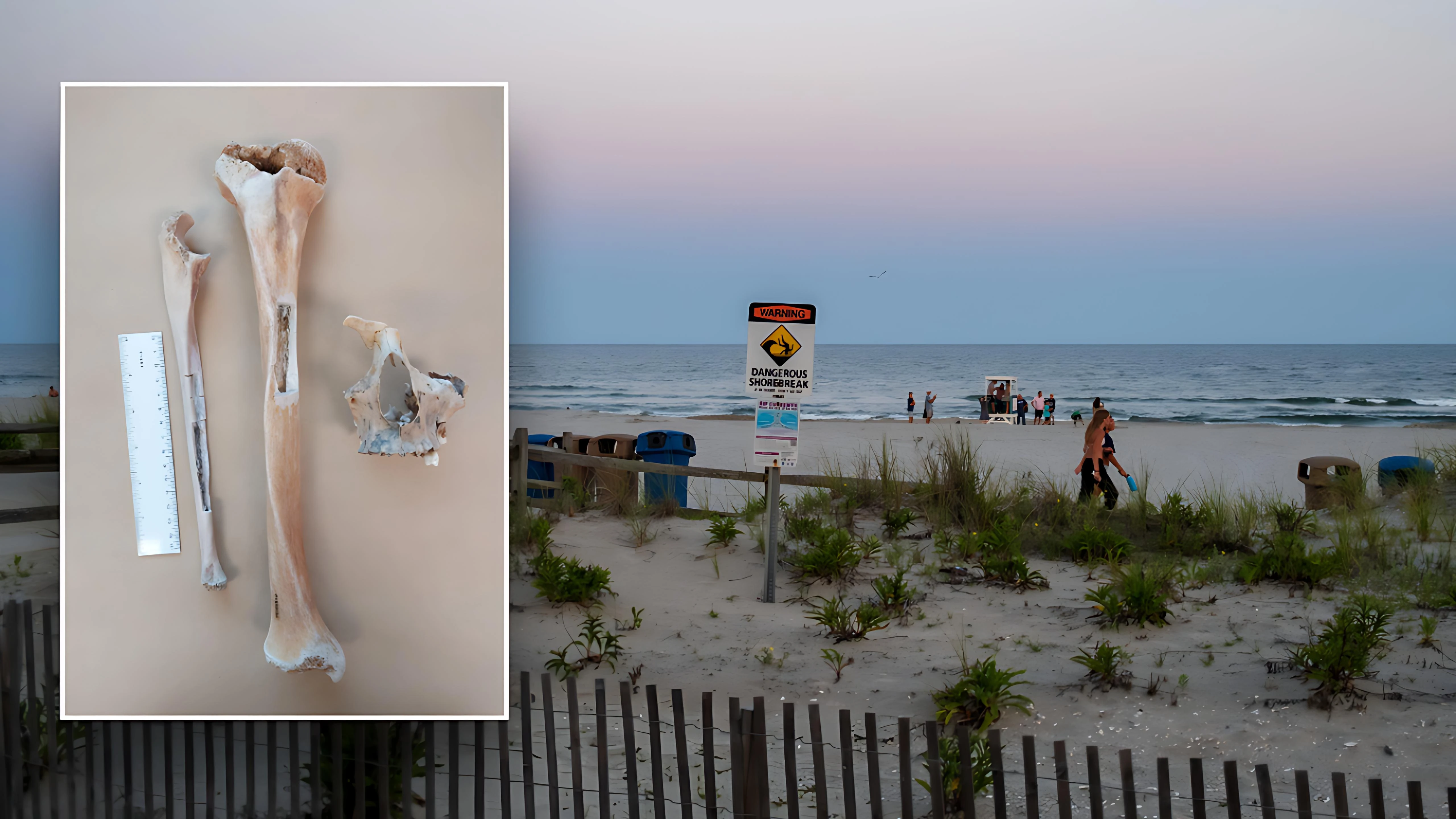 DNA Breakthrough Identifies 1844 Shipwreck Captain's Remains