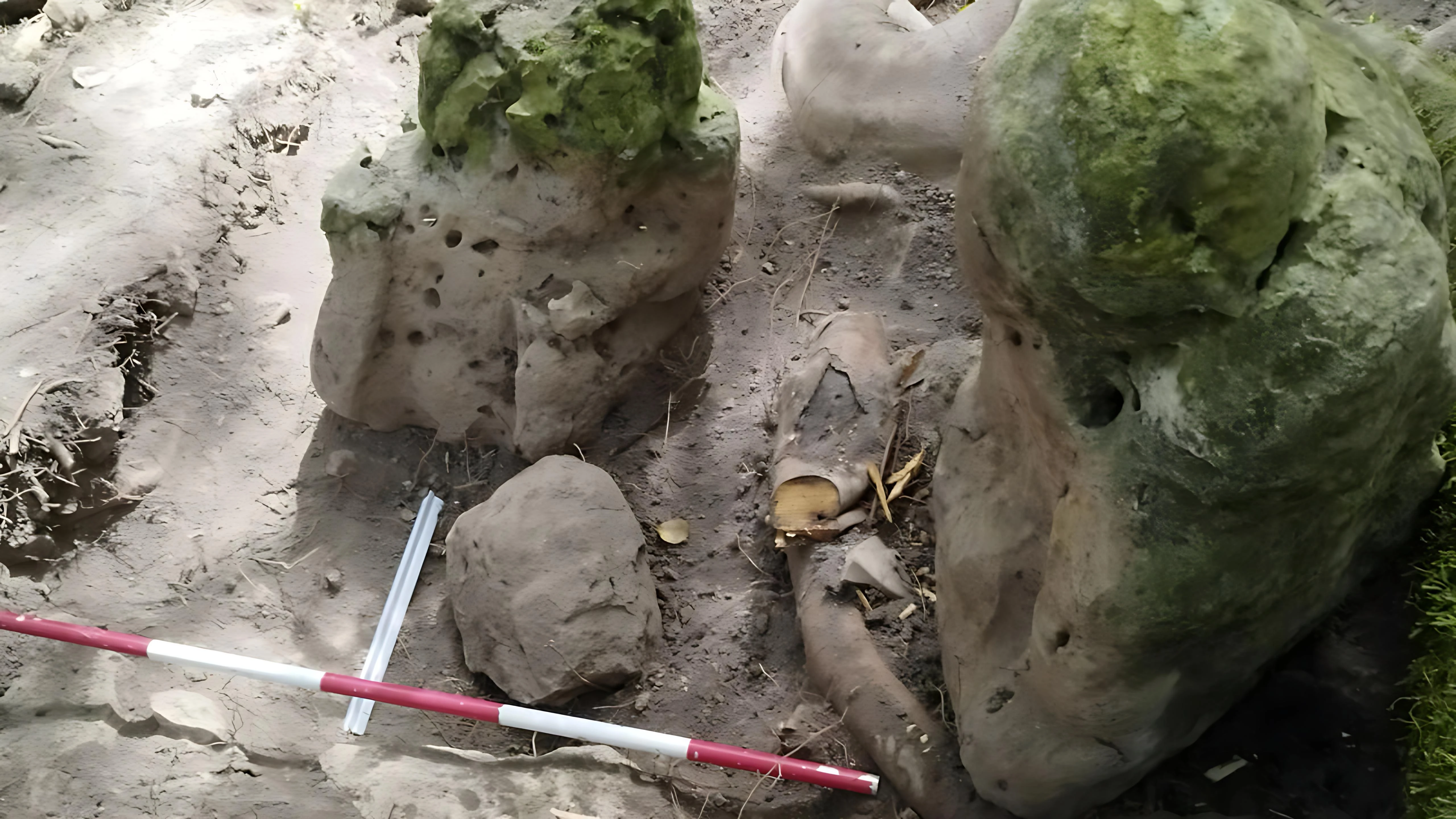 Archaeologists Discover Ancient Mayan City Hidden in Guatemalan Jungle