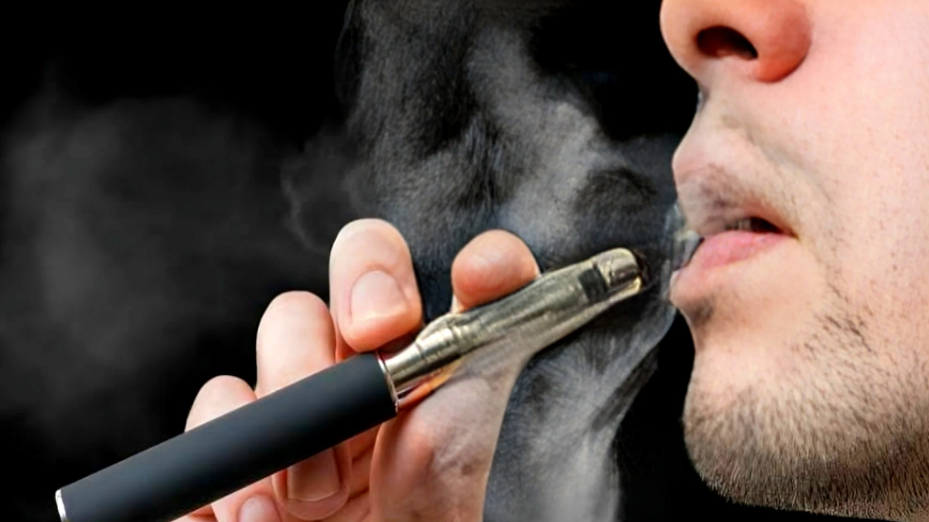 Who warns of flavoured nicotine products fueling youth addiction, calls for global ban