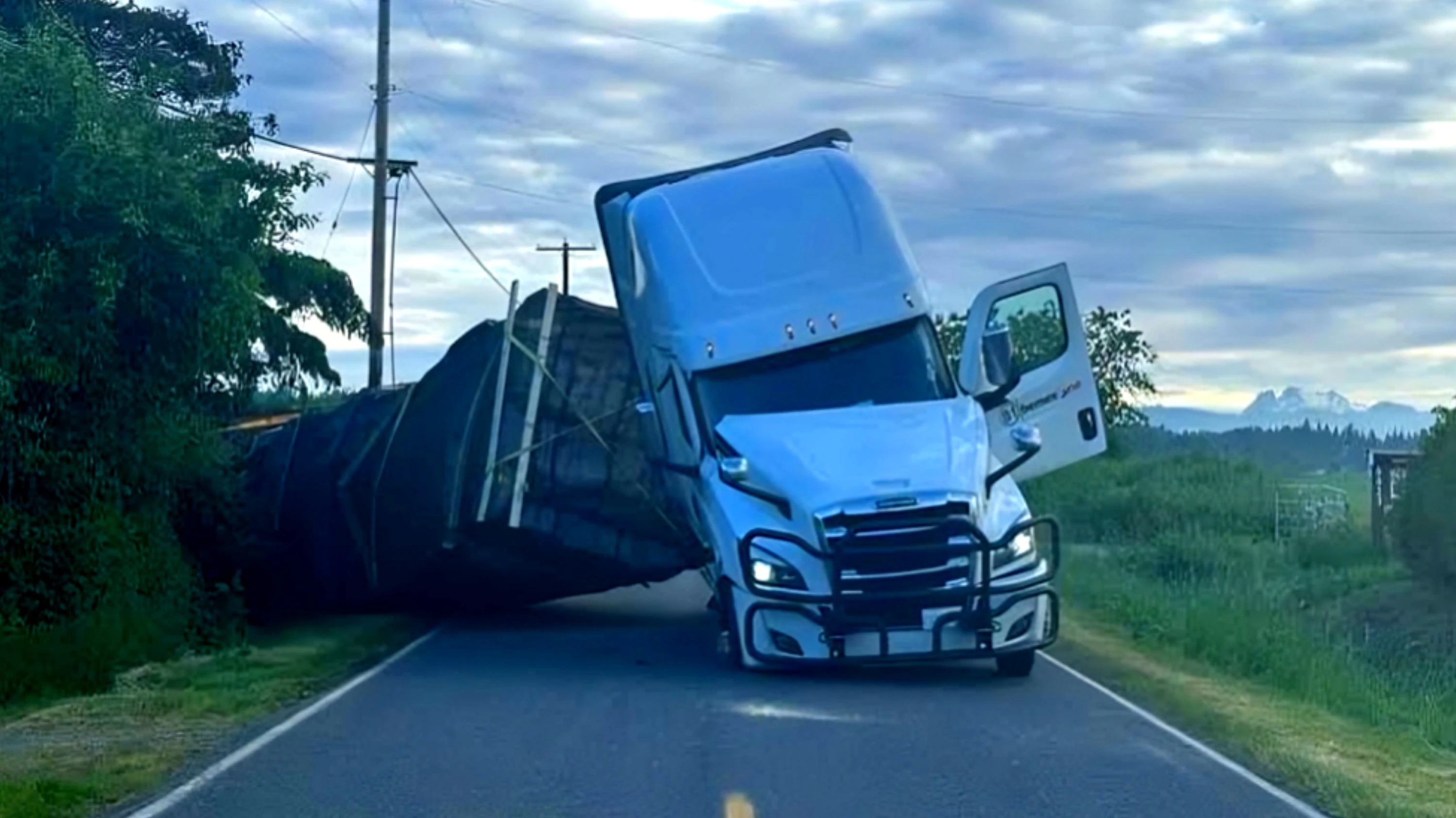Millions of honeybees escape after truck overturns in washington state