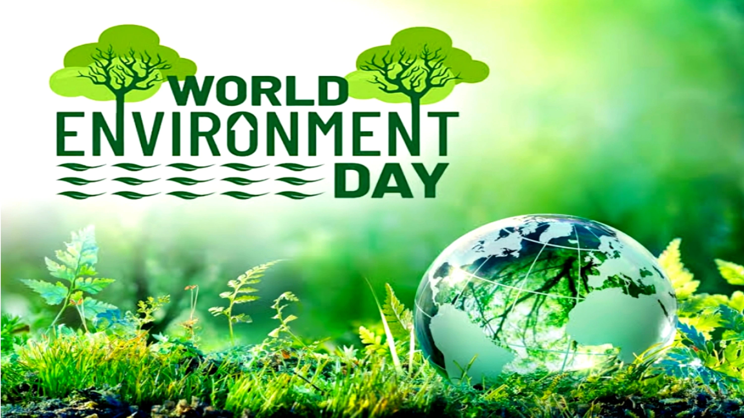 Global Push Intensifies to Tackle Plastic Pollution on World Environment Day