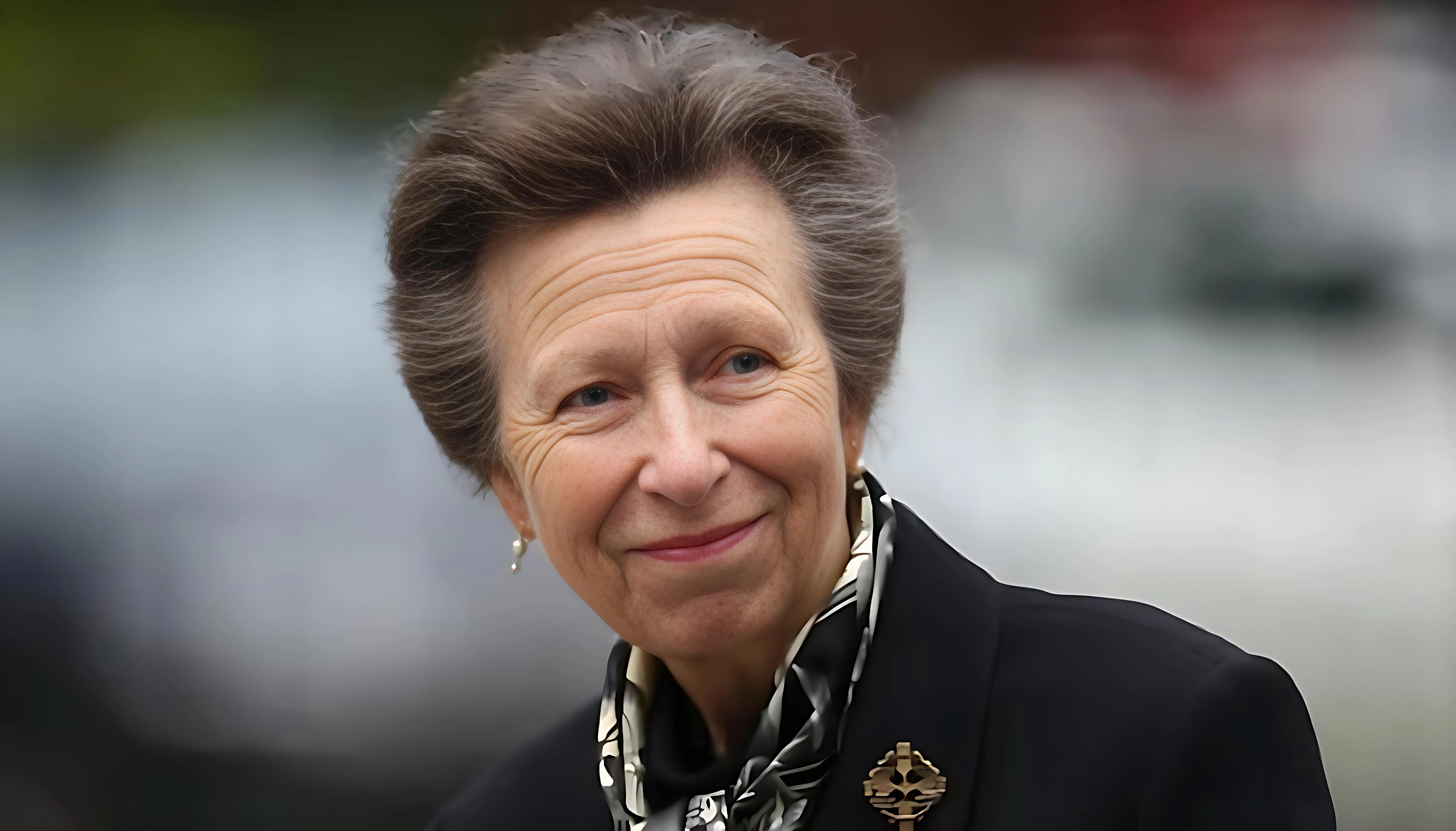 Princess Anne Honoured for Tireless Royal Work as Gift List Revealed