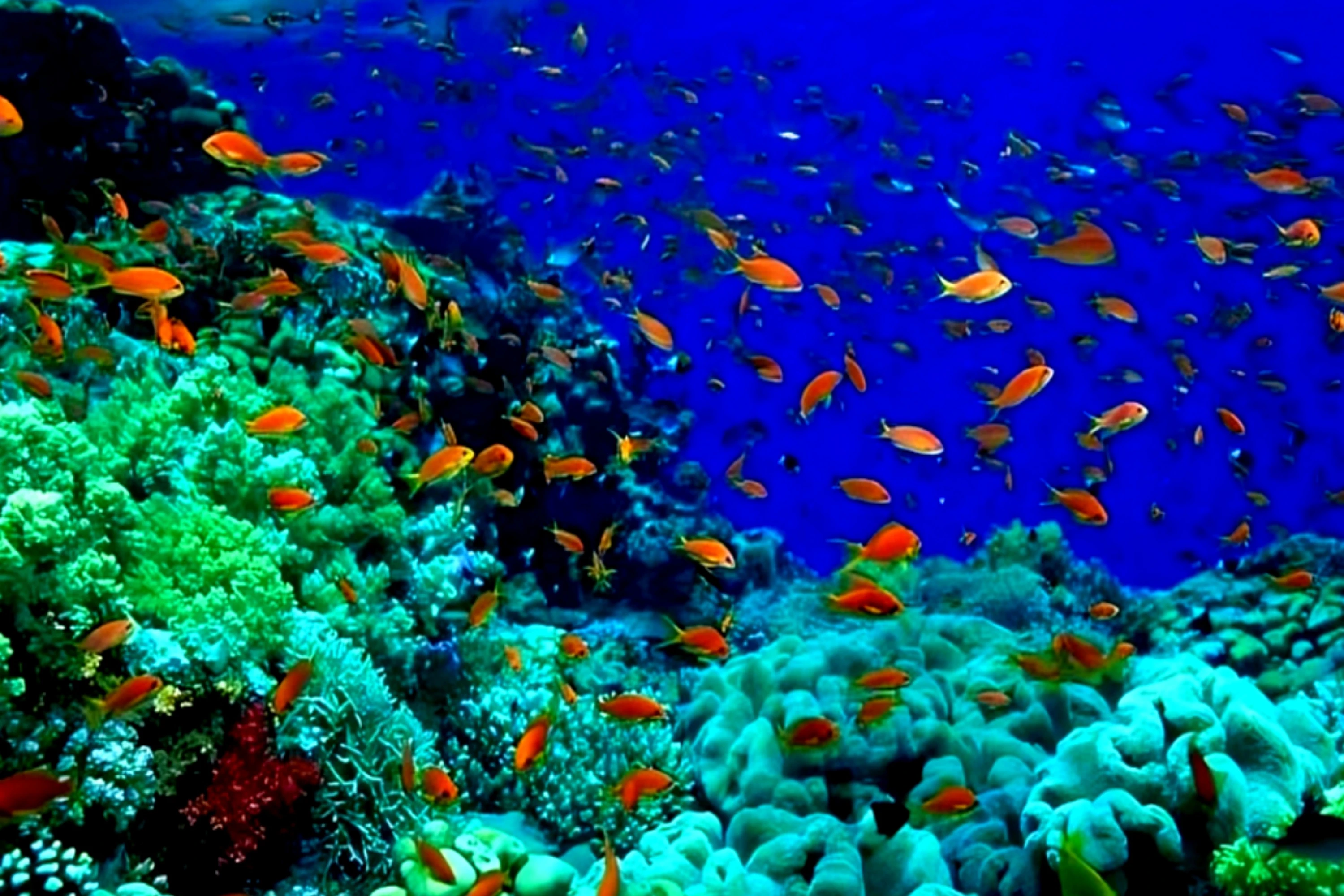 Eu launches ocean pact ahead of un summit, sparking mixed reactions