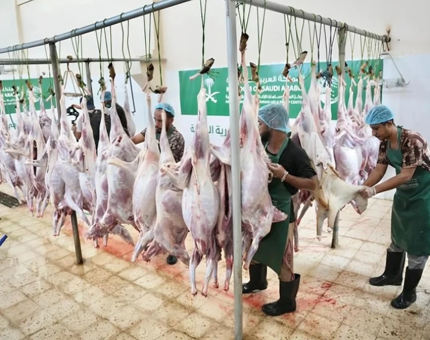 Ksrelief distributes sacrificial meat to thousands in yemen, syria, and somalia for eid al-adha