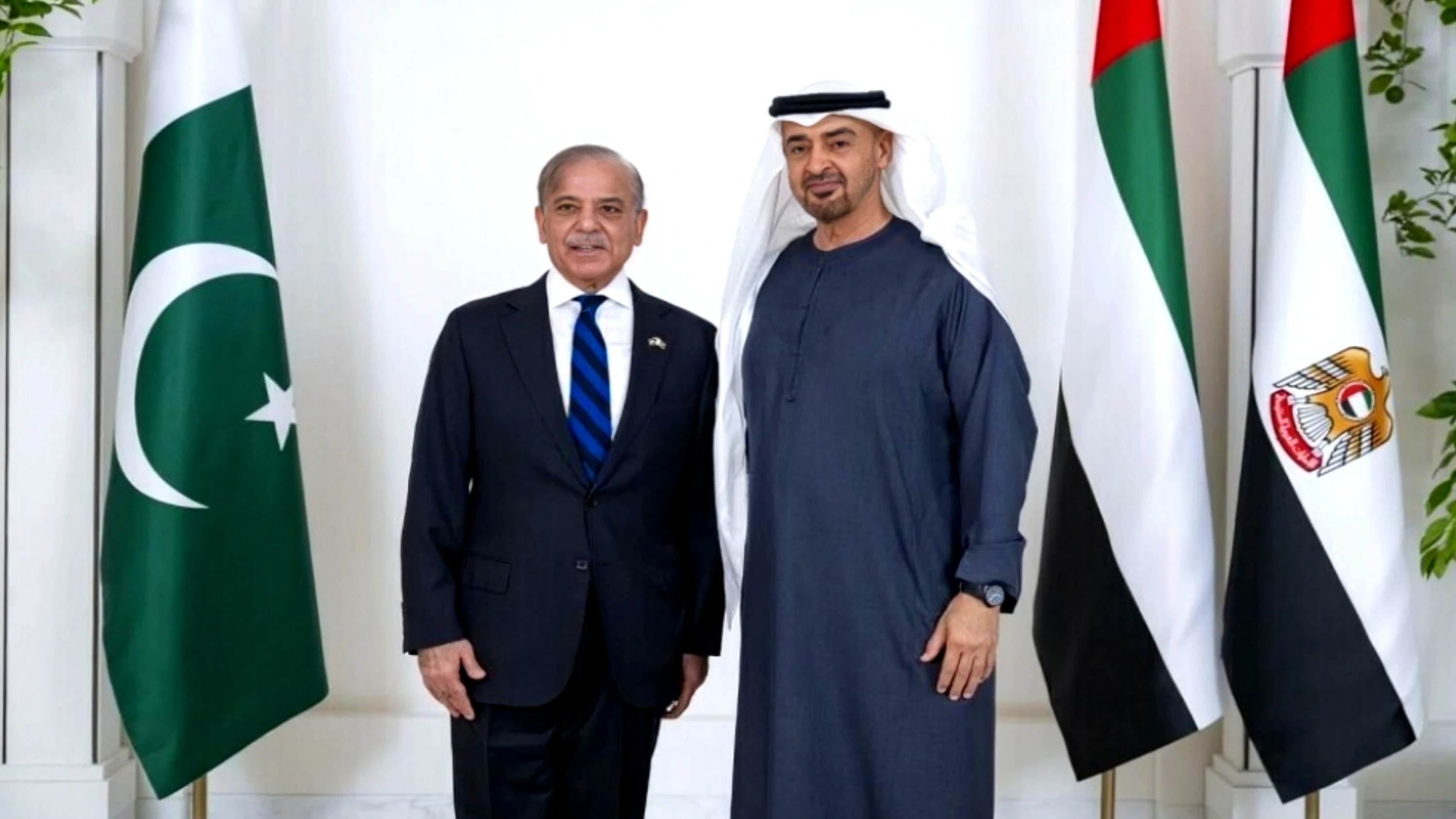 Pm shehbaz sharif meets uae president in abu dhabi, discusses regional stability