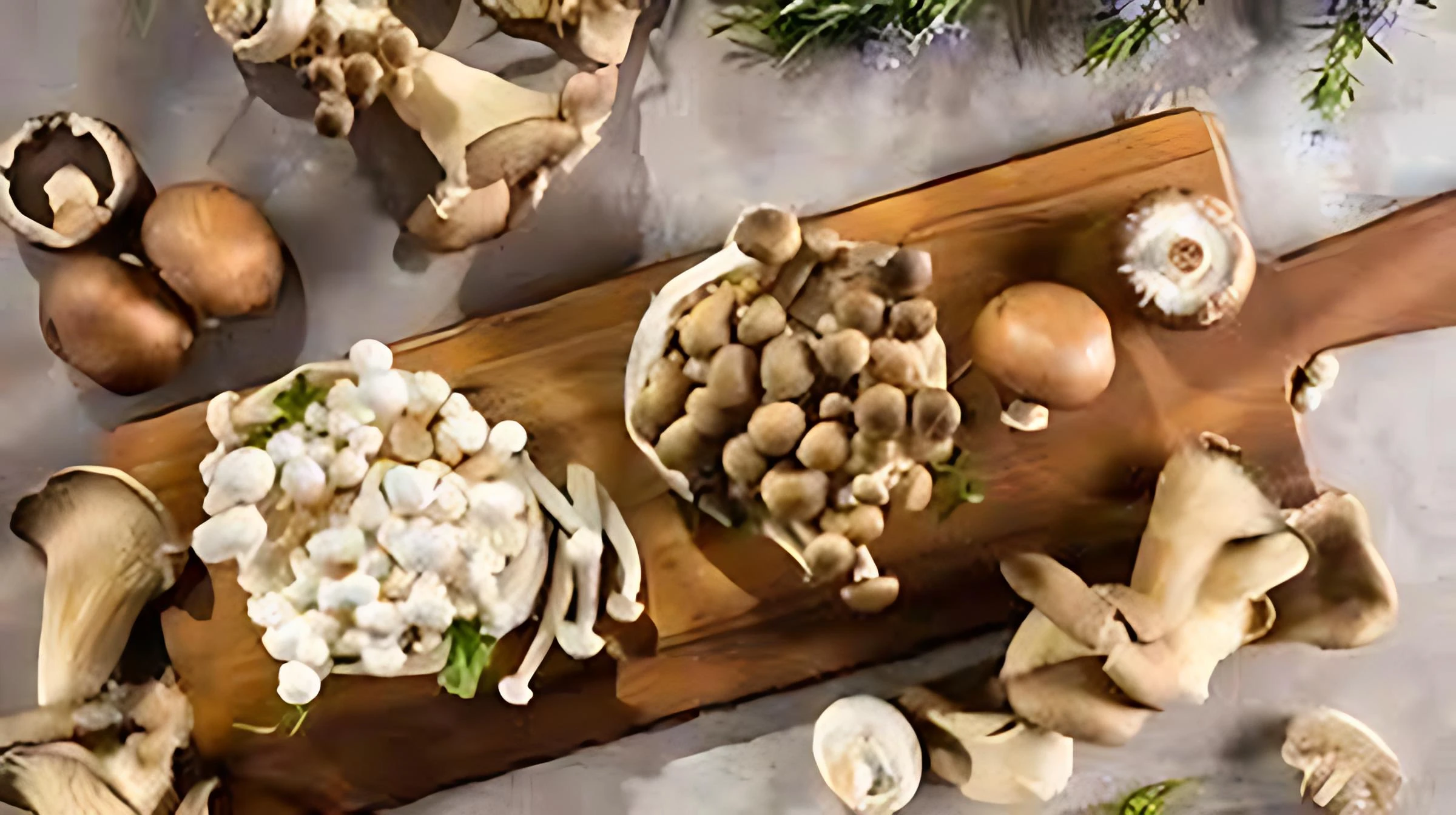 Science or scam? the real effects of medicinal mushrooms