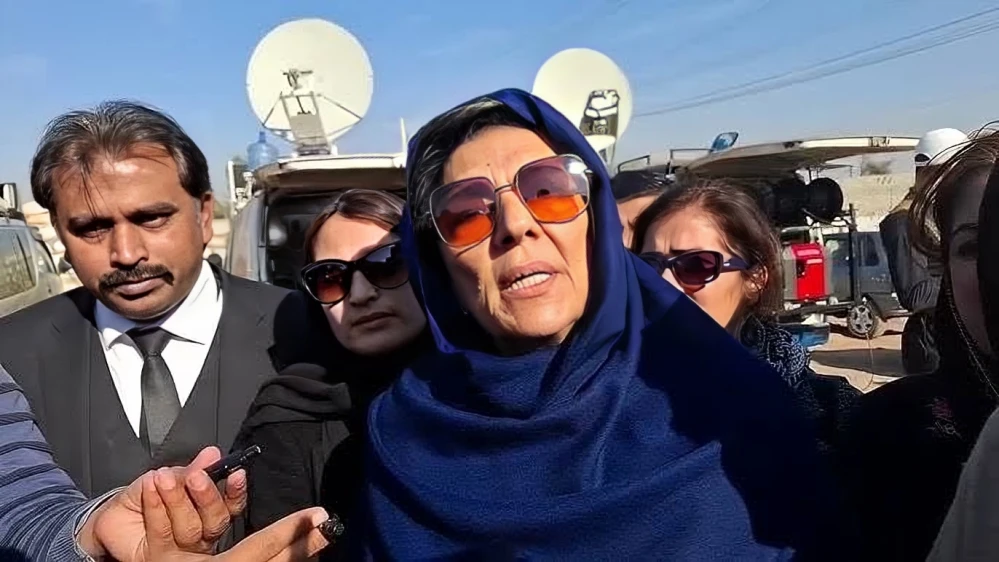 Ali Ameen Gandapur Has "Minus-ed" Imran Khan, Claims Aleema Khan