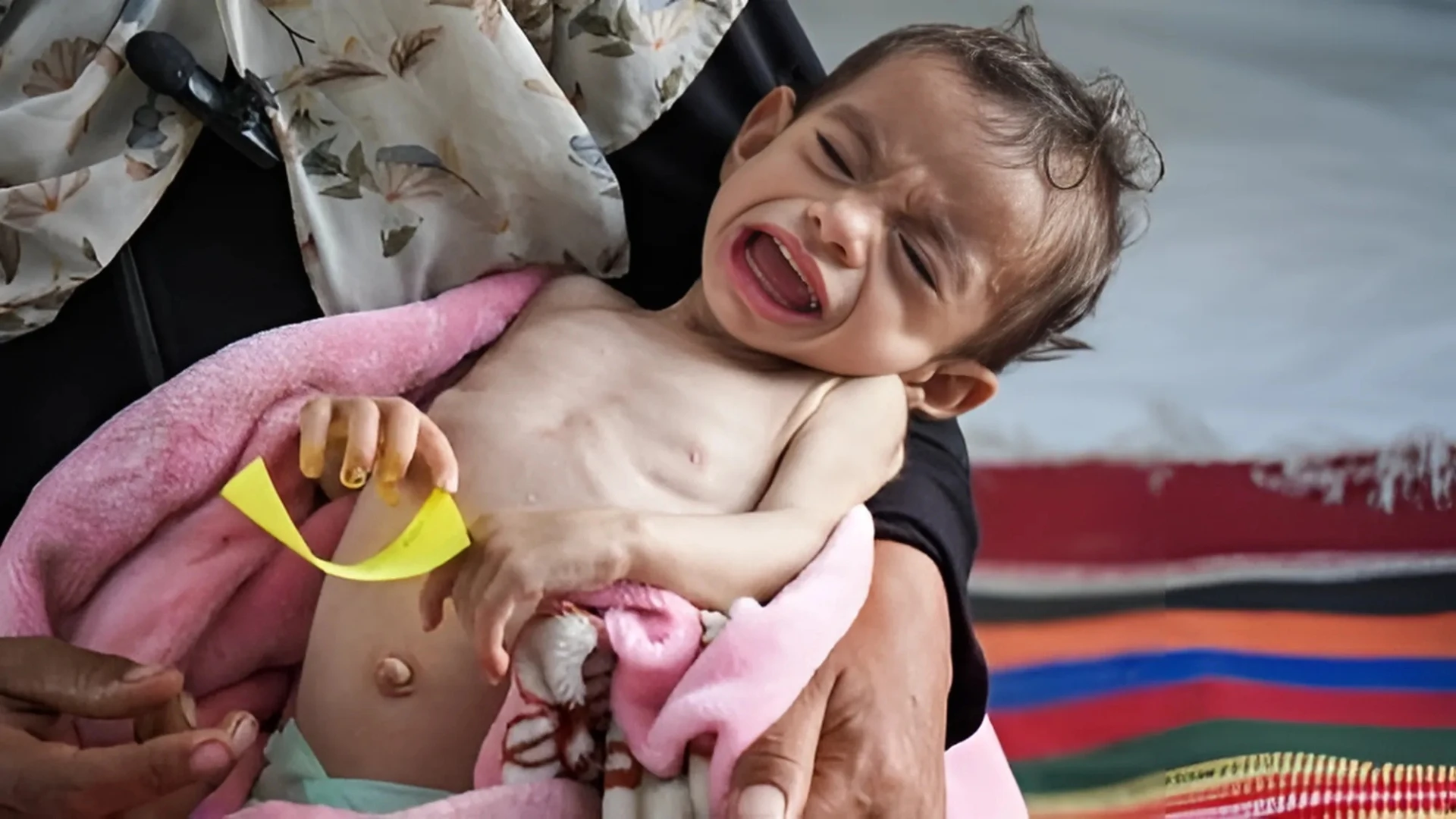 Gaza: at least 66 children dead from malnutrition as israeli siege chokes aid access
