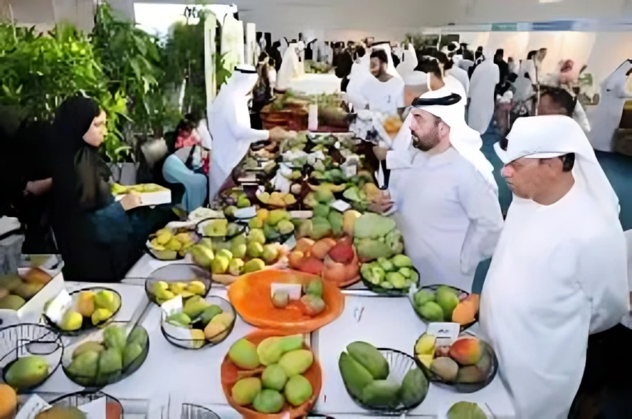 Umluj’s Fourth Mango Festival Wraps Up with Over 14,000 Visitors