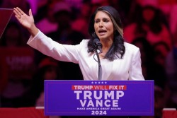 Tulsi Gabbard Appointed as Director of U.S. Intelligence Agencies by President Donald Trump