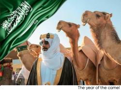 2024: The Year of the Camel – A Tribute to Saudi Arabia's Rich Heritage