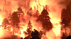 Wildfires Force Emergency Declaration in Los Angeles Suburbs