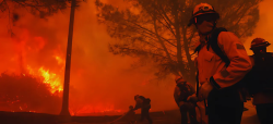 30,000 Residents Evacuate, Firefighters Rush to Los Angeles