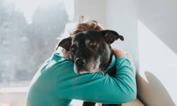 Pet-Friendly Expeditions Take the UAE by Storm