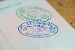 UAE Offers Free Visas to Sukkur District Council Members