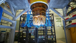 Quantum Jungle: Surviving the Tech Wild with Super Codes