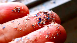 Microplastics Found in Human Brains, Raising Health Concerns