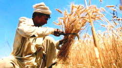 U.S.-Funded Climate-Smart Agriculture Program in Pakistan Shuts Down