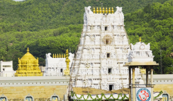 Tirupati Laddoo Row: Proxy Firms in the Mix