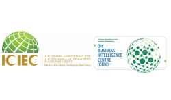 Enhance Business Skills at ICIEC's OBIC Program