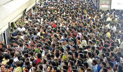 Delhi Stampede: Insights from the Color Body War Room