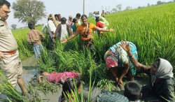 3 Dead in Nizamabad: Hunting Trip Turns Deadly.