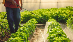 Telangana Pesticide Rules: What Changes Are Coming?