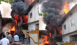 Chemical Plant Fire in Bhopal: What Caused the Massive Explosion?