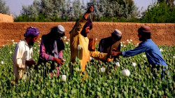 Large Opium Seizure in Northern Afghanistan as Drug Smuggling Concerns Persist