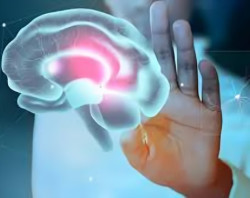 Fact Check: Does the Brain Really Take 8 Minutes to Register Fullness?