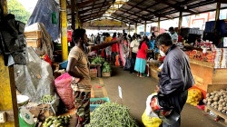 Sri Lanka’s Economy Rebounds with 5% Growth in 2024, Exceeding Expectations