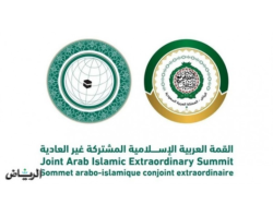 Arab-Islamic Ministerial Committee Condemns Israeli Raids on Gaza