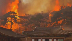 Wildfires Continue to Ravage South Korea, More Counties Declared Disaster Zones