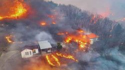 Wildfires Devastate Southeastern South Korea, Leaving 18 Dead and Thousands Displaced