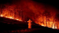 Devastating Wildfire in South Korea: Death Toll Rises to 26, Rescue Operations Underway
