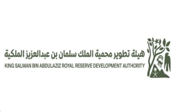 King Salman Royal Reserve Marks Green Milestone with 3 Million Trees