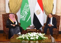 Egypt, Saudi Arabia Coordinate Gaza Recovery Plan, Ceasefire Steps
