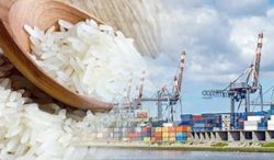 Thailand's Rice Exports Fall 30% in the First Quarter