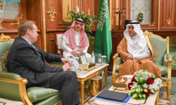 Shoura Council Deputy Speaker Meets German Bundestag Delegation