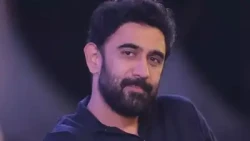 Amit Sadh Supports Ban on Pakistani Artistes After Pahalgam Attack